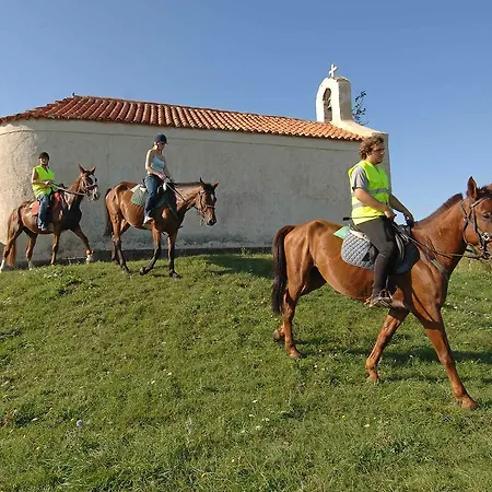 Casa vacanze Holiday Zaton Holiday Resort.35